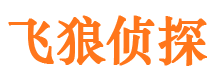 临桂市侦探